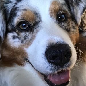 Meet your Posher, Robin